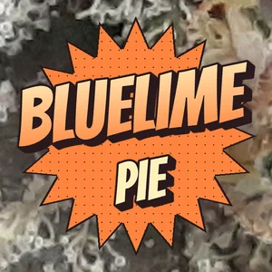BlueLime Pie Cannabis Strain
