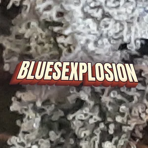 Bluesexplosion Cannabis Strain