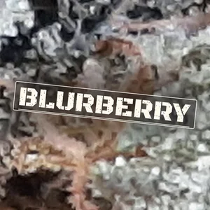Blurberry Cannabis Strain