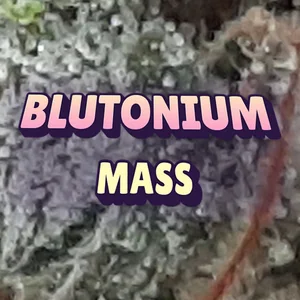 Blutonium Mass Cannabis Strain