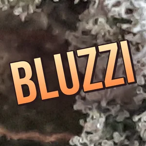 Bluzzi Cannabis Strain