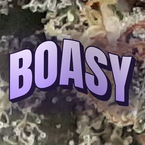 Boasy Cannabis Strain
