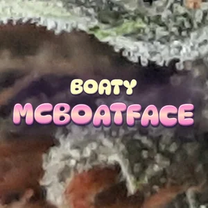 Boaty McBoatface Cannabis Strain