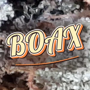 BOAX Cannabis Strain