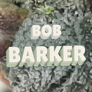 Bob Barker Cannabis Strain