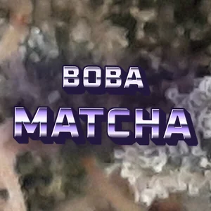Boba Matcha Cannabis Strain