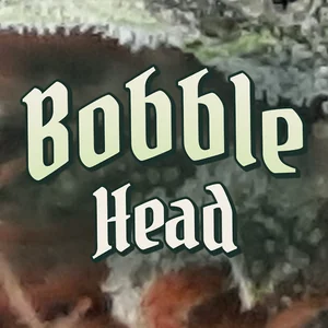 Bobble Head Cannabis Strain