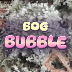 BOG Bubble Cannabis Strain