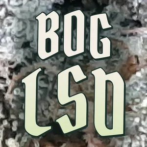 BOG LSD Cannabis Strain