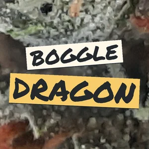 Boggle Dragon Cannabis Strain