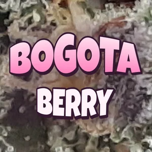 Bogota Berry Cannabis Strain
