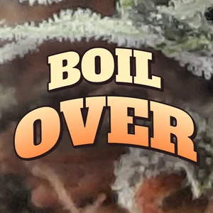 Boil Over Cannabis Strain