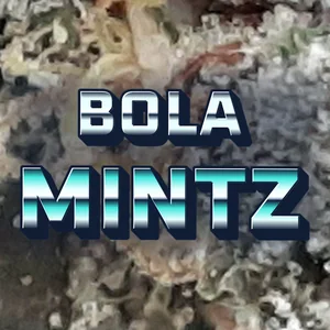 Bola Mintz Cannabis Strain