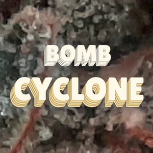 Bomb Cyclone Cannabis Strain