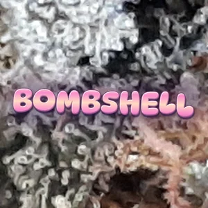 Bombshell Cannabis Strain