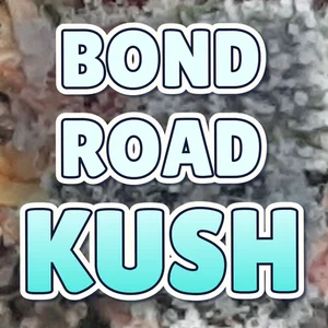 Bond Road Kush Cannabis Strain