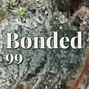 Bonded 99 Cannabis Strain