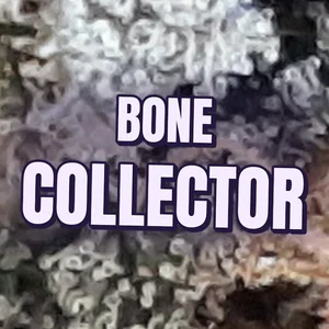 Bone Collector Cannabis Strain