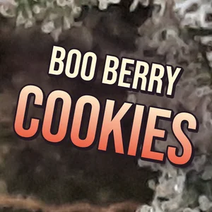 Boo Berry Cookies Cannabis Strain