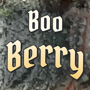 Boo Berry Cannabis Strain