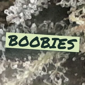Boobies Cannabis Strain