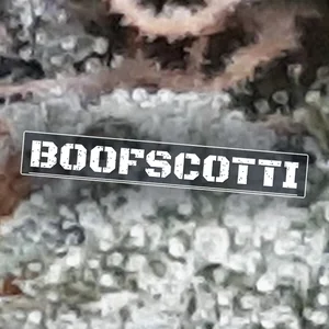 Boofscotti Cannabis Strain