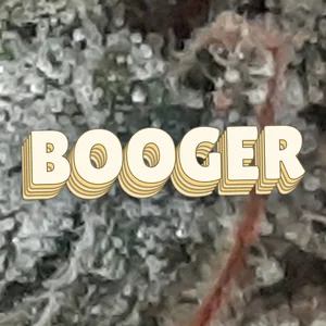Booger Cannabis Strain