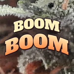 Boom Boom Cannabis Strain