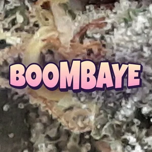 Boombaye Cannabis Strain