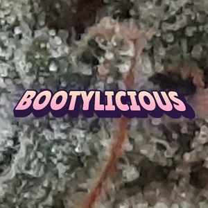 Bootylicious Cannabis Strain
