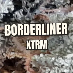 Borderliner XTRM Cannabis Strain