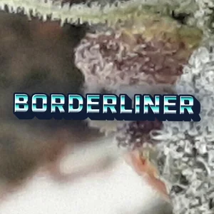 Borderliner Cannabis Strain