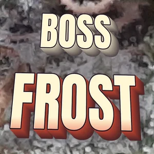 Boss Frost Cannabis Strain