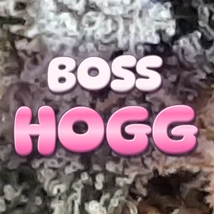 Boss Hogg Cannabis Strain