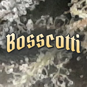 Bosscotti Cannabis Strain