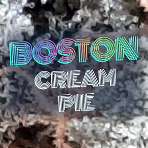Boston Cream Pie Cannabis Strain