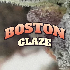 Boston Glaze Cannabis Strain