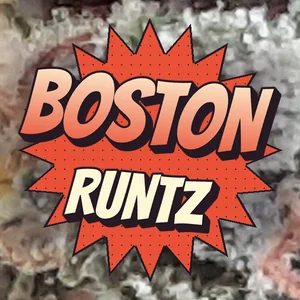 Boston Runtz Cannabis Strain