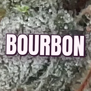 Bourbon Cannabis Strain