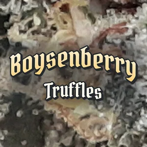 Boysenberry Truffles Cannabis Strain