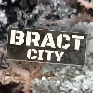 Bract City Cannabis Strain