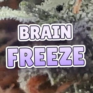 Brain Freeze Cannabis Strain