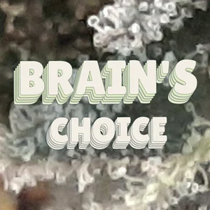 Brain's Choice Cannabis Strain