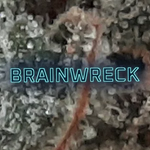 Brainwreck Cannabis Strain