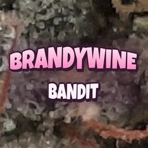 Brandywine Bandit Cannabis Strain