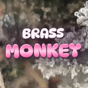 Brass Monkey Cannabis Strain
