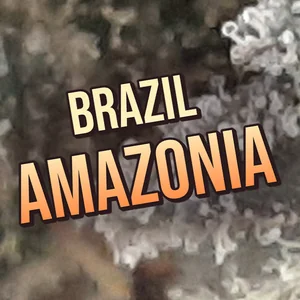Brazil Amazonia Cannabis Strain
