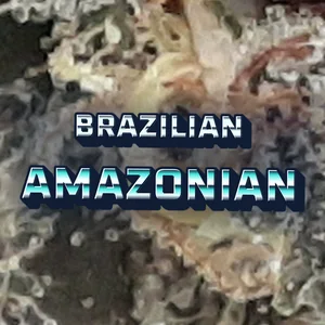 Brazilian Amazonian Cannabis Strain