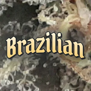 Brazilian Cannabis Strain