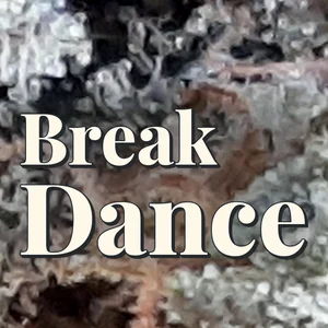 Break Dance Cannabis Strain